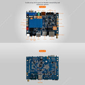 LIONTRON C3  Series Smart Minicomputer Board