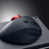 D-8332 IP54 endüstriyel trackball
