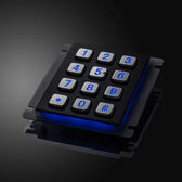 D-8208J-2-B-BG IP67 12 tuşlu aydınlatmalı metal nümerik tuş takımı